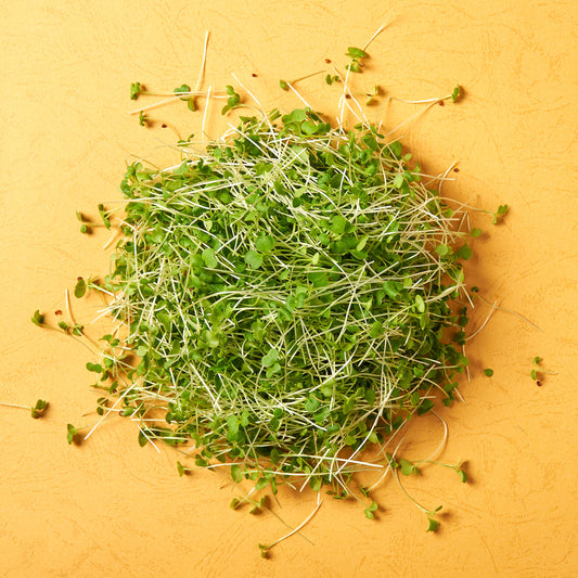 Benefits of Broccoli Shoots