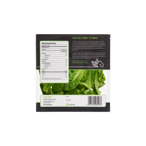 Romaine Lettuce