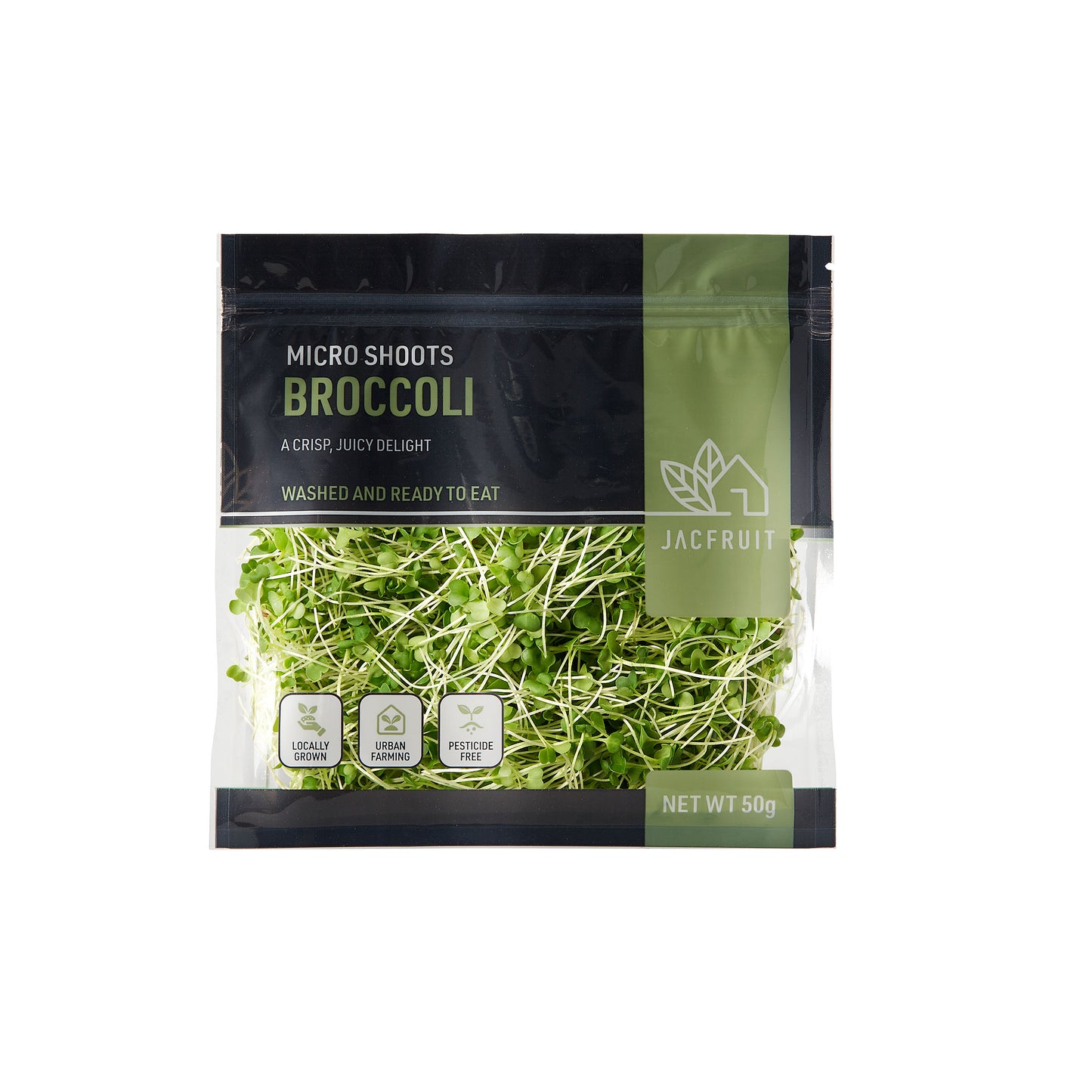 Broccoli Microgreens