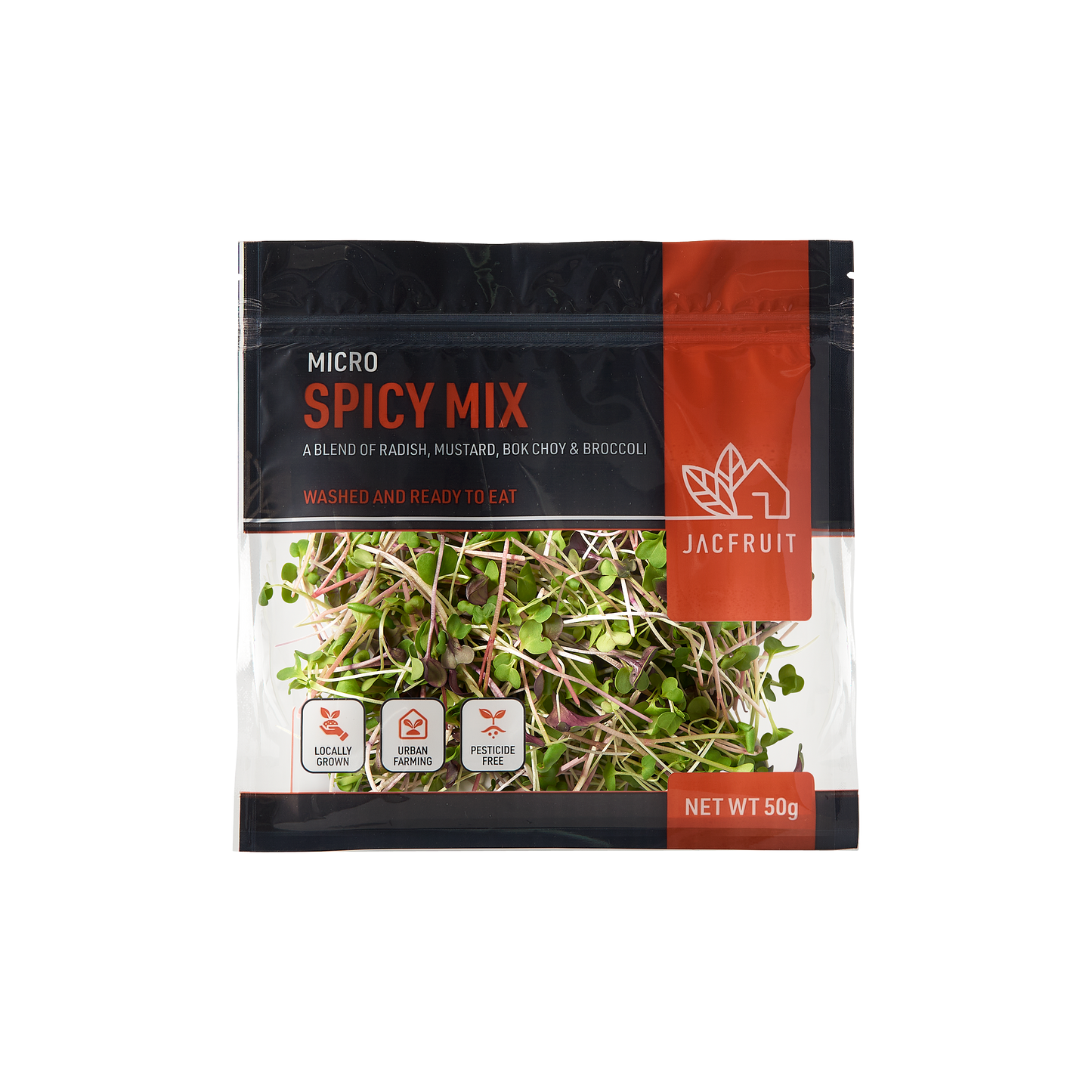 Spicy Mix Microgreens